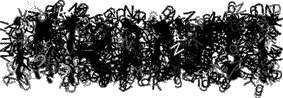 welcome to the internest